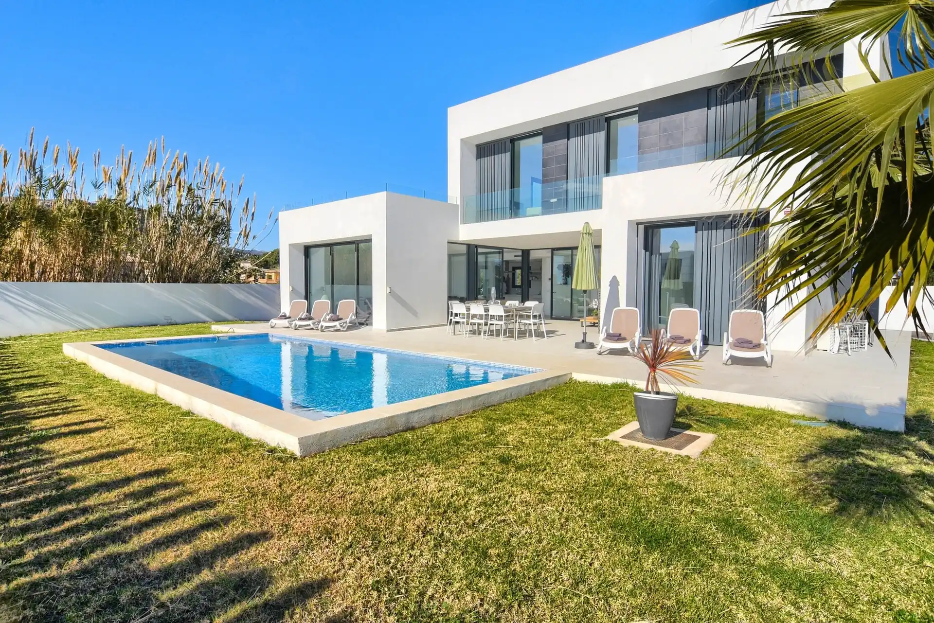 Pool und Rasen mit einem Palmwedel oben links und der zweigeschossigen Glasfassade dahinter.